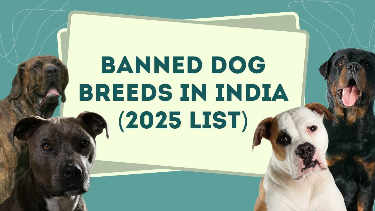 Banned Dogs In India Banned Dogs In India