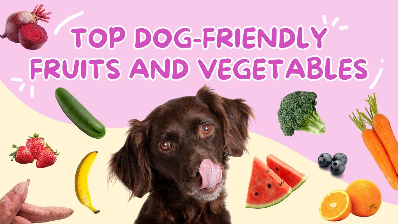 Picture of Dog Friendly Fruits and Vegetables: A Pet Parent's Guide