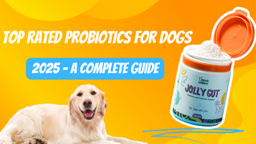 Top Rated Probiotic for Dogs in 2025: Expert Guide