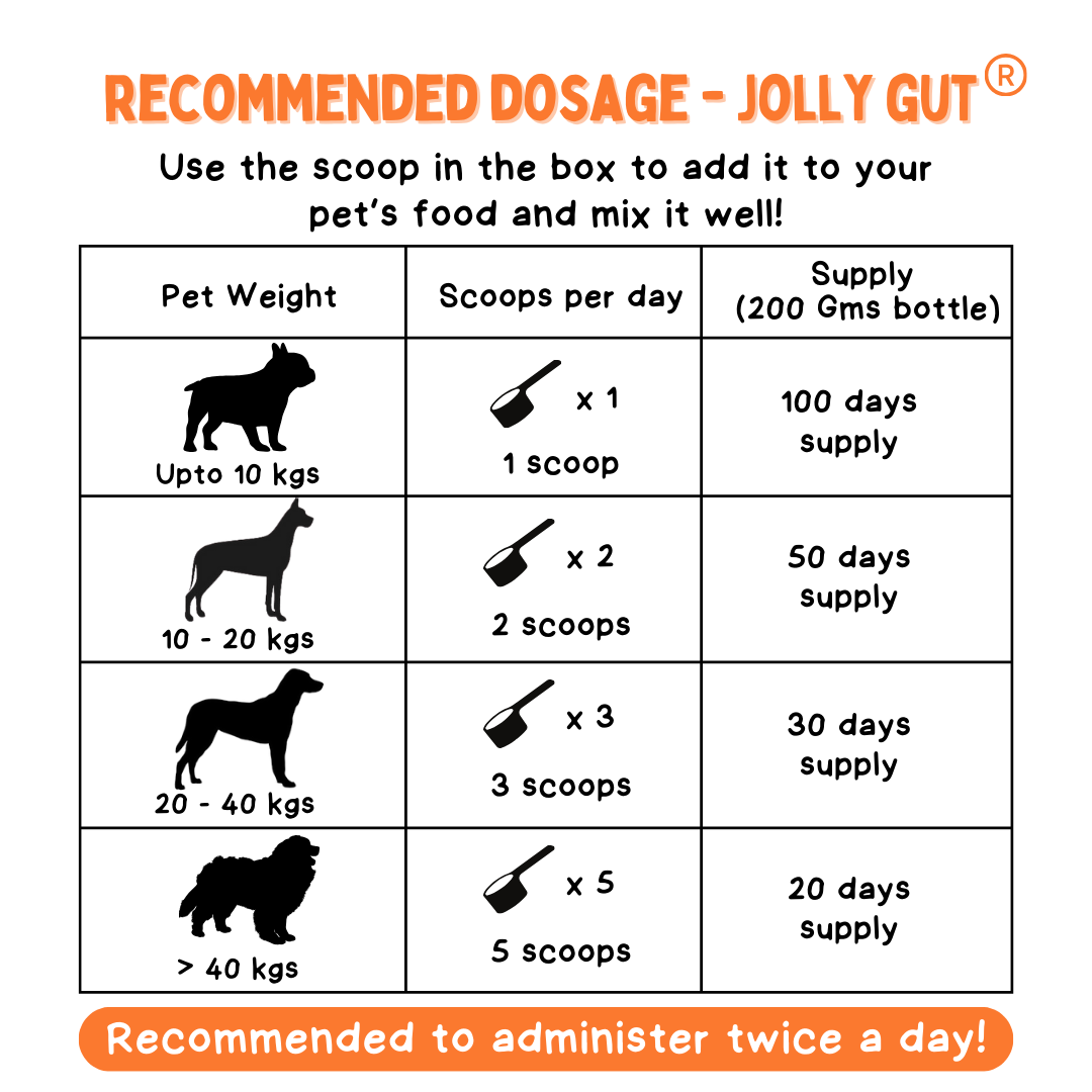 Recommended dosage guide — see text version below for details