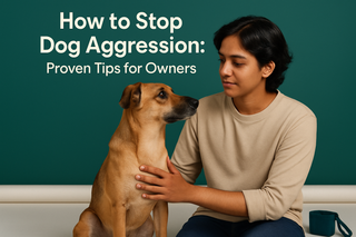 How to Stop Dog Aggression: Proven Tips for Owners