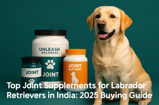 Top Joint Supplements for Labrador Retrievers India: 2026 Guide