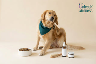How to Fix Dog Scratching: Allergy Guide