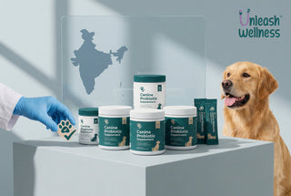 Best Probiotics for Dogs in India: A Vet's Guide to Gut Health