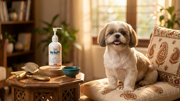 Shih Tzu itchy skin treatment with NO RUFF skin and coat supplement - Unleash Wellness