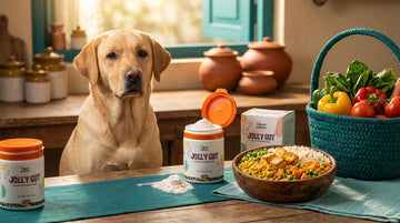 Indian vegetarian diet for dogs guide - Unleash Wellness