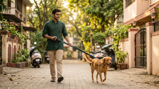 Dogs Ban in India 2026: Rules, Fines & Safe Breeds