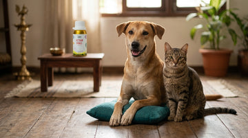 Best pet care tips for happy healthy pets - Unleash Wellness