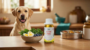 Essential pet vitamins and minerals guide - Unleash Wellness