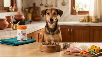 Complete dog feeding guide India - Unleash Wellness