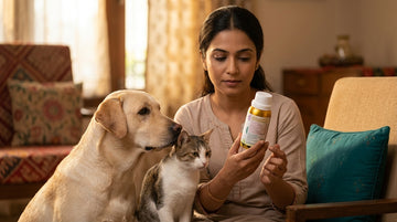 Common pet supplement myths debunked vet facts - Unleash Wellness