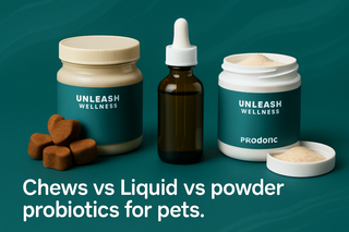 Chews vs Liquid vs Powder Probiotics for Pets Guide for 2026