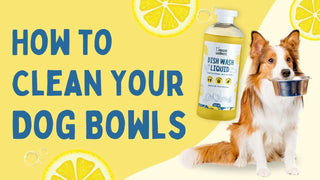 How to Clean Your Dog Bowls: The Importance of Pet-Safe Products