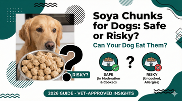 Soya Chunks for Dogs: Safe or Risky? Can Your Dog Eat Them?