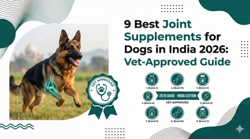 9 Best Joint Supplements for Dogs in India 2026: Vet-Approved Guide