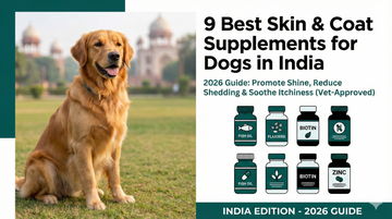 9 Best Skin and Coat Supplements for Dogs in India in 2026
