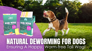 Natural Deworming for Dogs: Ensuring A Happy, Worm-free Tail Wag!