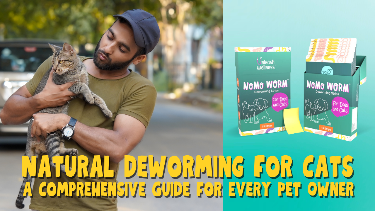 Dewormers for Cats: A Comprehensive Guide for Every Pet Owner