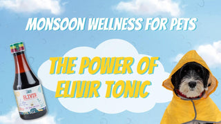 Monsoon Wellness for Pets: The Power of Natural immunity booster- ELIVIR