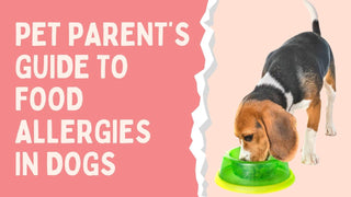The Ultimate Guide to Food Allergies in Dogs A Pet Parent's Journey