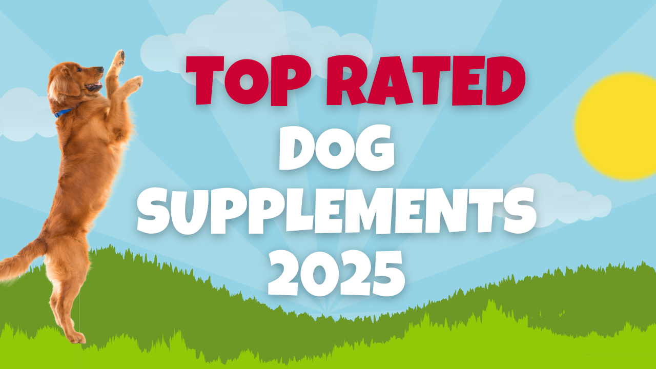 Top-Rated Dog Supplements of 2025: A Comprehensive Guide