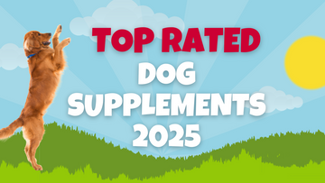 Top-Rated Dog Supplements of 2025: A Comprehensive Guide