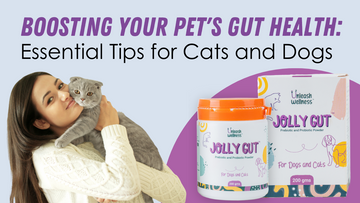 Boosting Your Pet's Gut Health: Essential Tips for Cats and Dogs