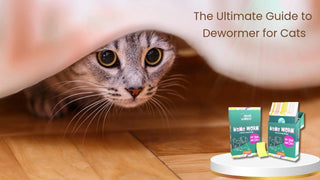The Ultimate Guide to Dewormer for Cats: Keep Your Feline Friend Healthy and Happy