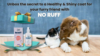 The Secret to Healthy Skin & Shiny Coat for Your Canine Companion