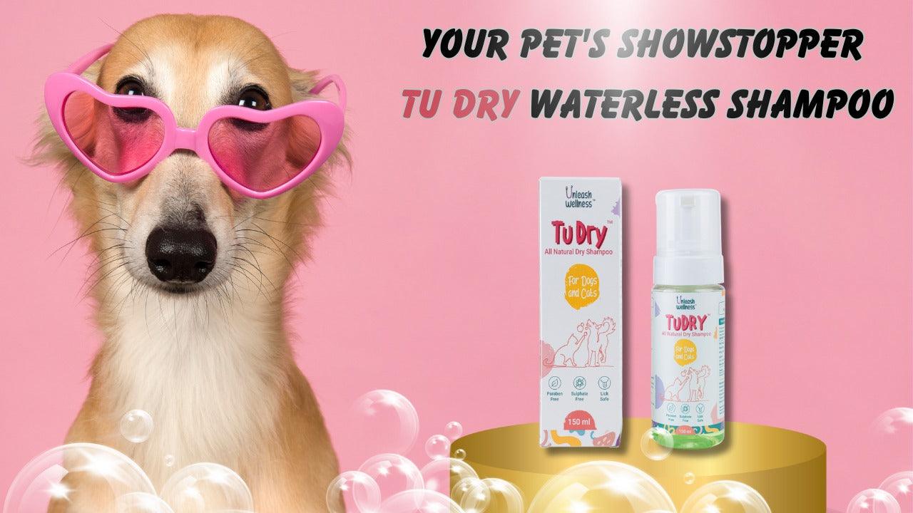 The Wonders of All-Natural Waterless Shampoo for Dogs | Unle