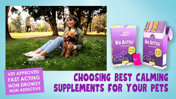 Choosing Best Calming Supplements for Your Pets