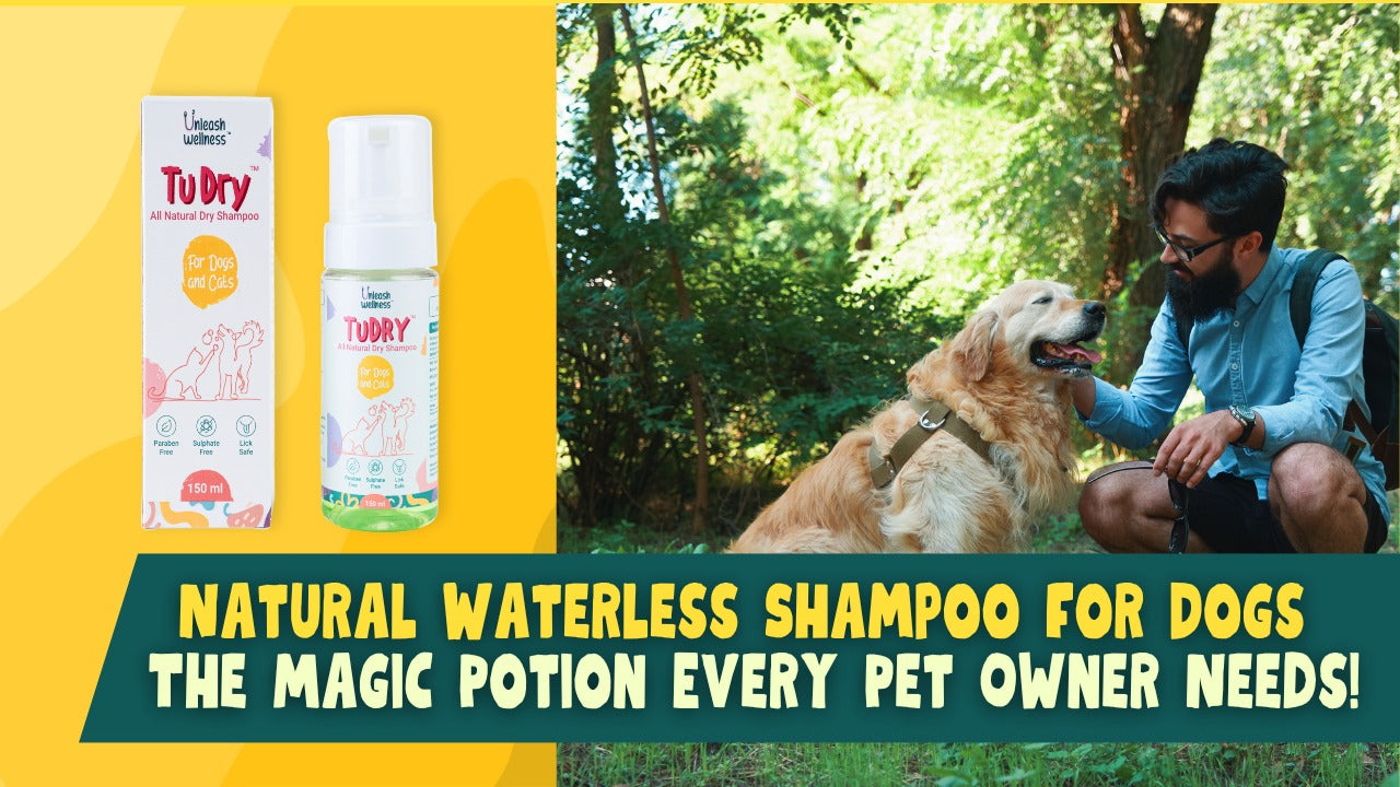 Natural Waterless Shampoo for Dogs: The Magic Potion Every Pet Owner Needs!