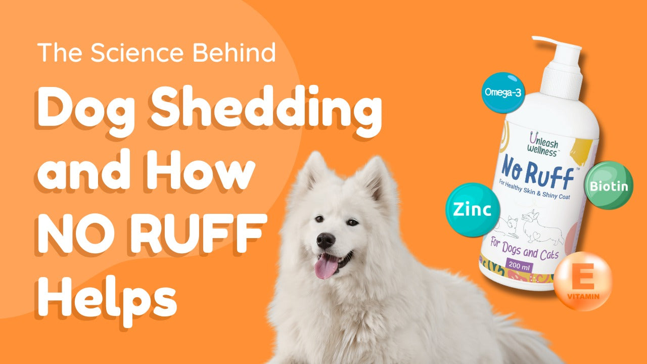 The Science Behind Dog Shedding and How NO RUFF Helps