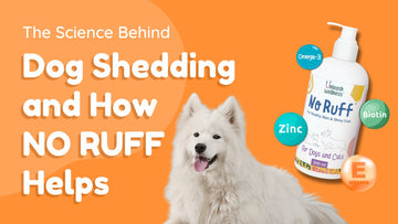 The Science Behind Dog Shedding and How NO RUFF Helps