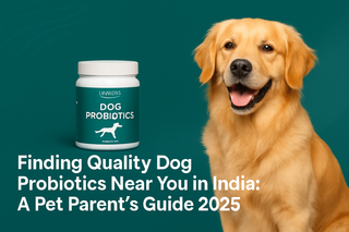 Dog Probiotics Near Me: Quality Options in India 2026