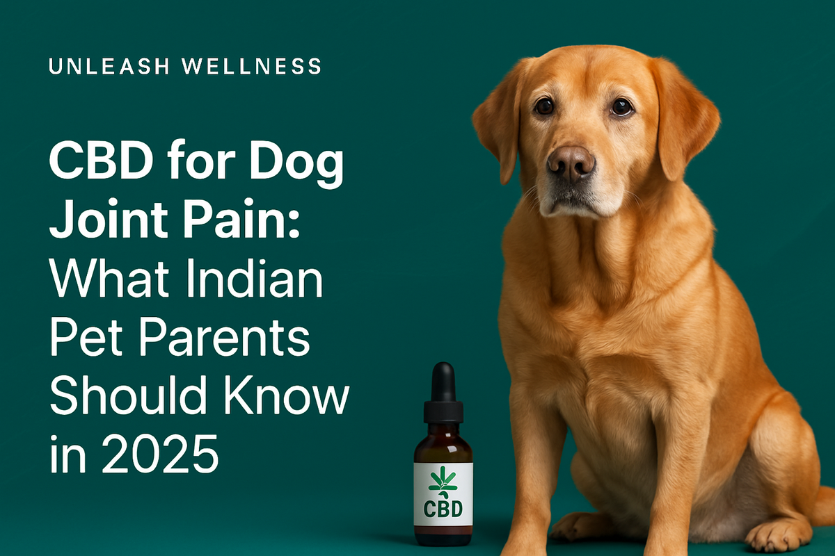 CBD for Dog Joint Pain: What Indian Pet Parents Should Know