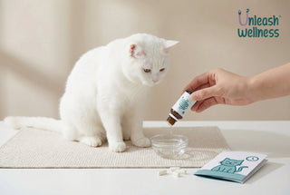 Enterogermina for Cats: Safe Dosage, Benefits & Use