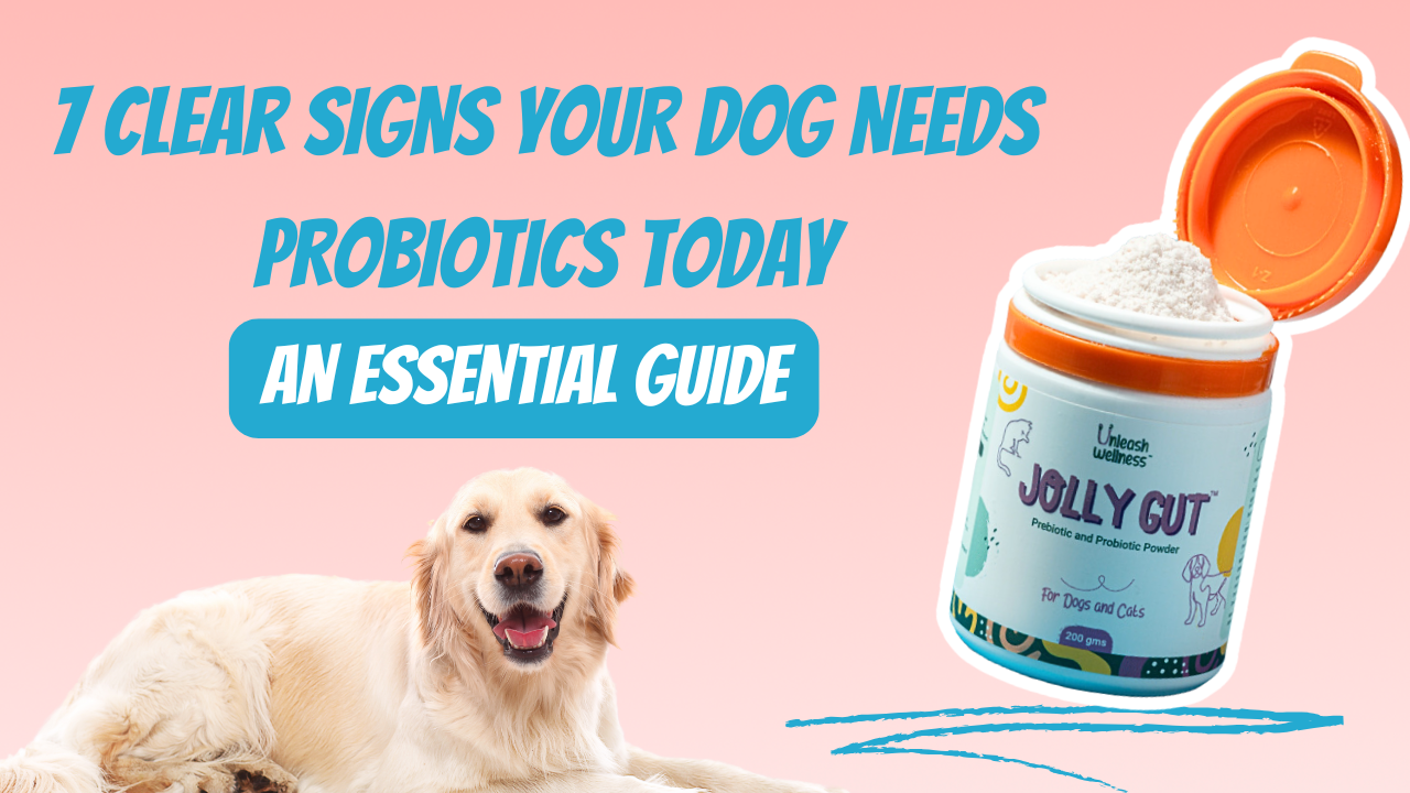7 Clear Signs Your Dog Needs Probiotics Today
