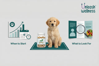 How to Choose Multivitamin for Puppies: When to Start & Buy