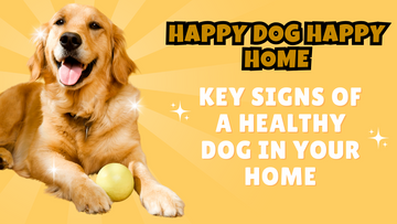 Recognizing the Key Signs of a Healthy Dog in Your Home