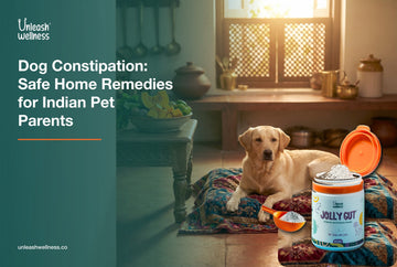 Golden retriever resting in a sunlit Indian kitchen beside pumpkin and fibre-rich foods with Unleash Wellness® Jolly Gut probiotic for dog constipation home remedies