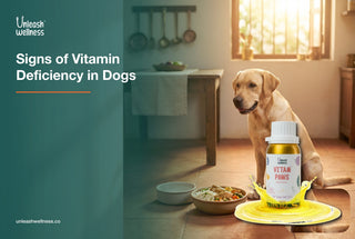 Signs of Vitamin Deficiency in Dogs (and What to Do)