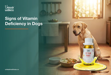 Healthy dog beside a food bowl with Unleash Wellness Vitam Paws multivitamin, signs of vitamin deficiency in dogs