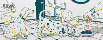 Our Products - Unleash Wellness