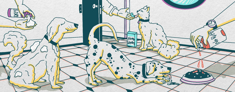 Our Products - Unleash Wellness