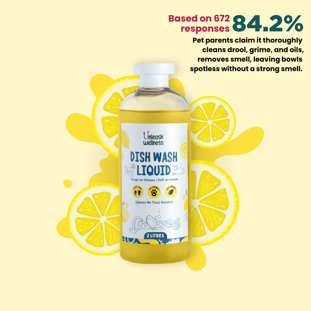 Pet-Safe Dish Wash Liquid - Lime