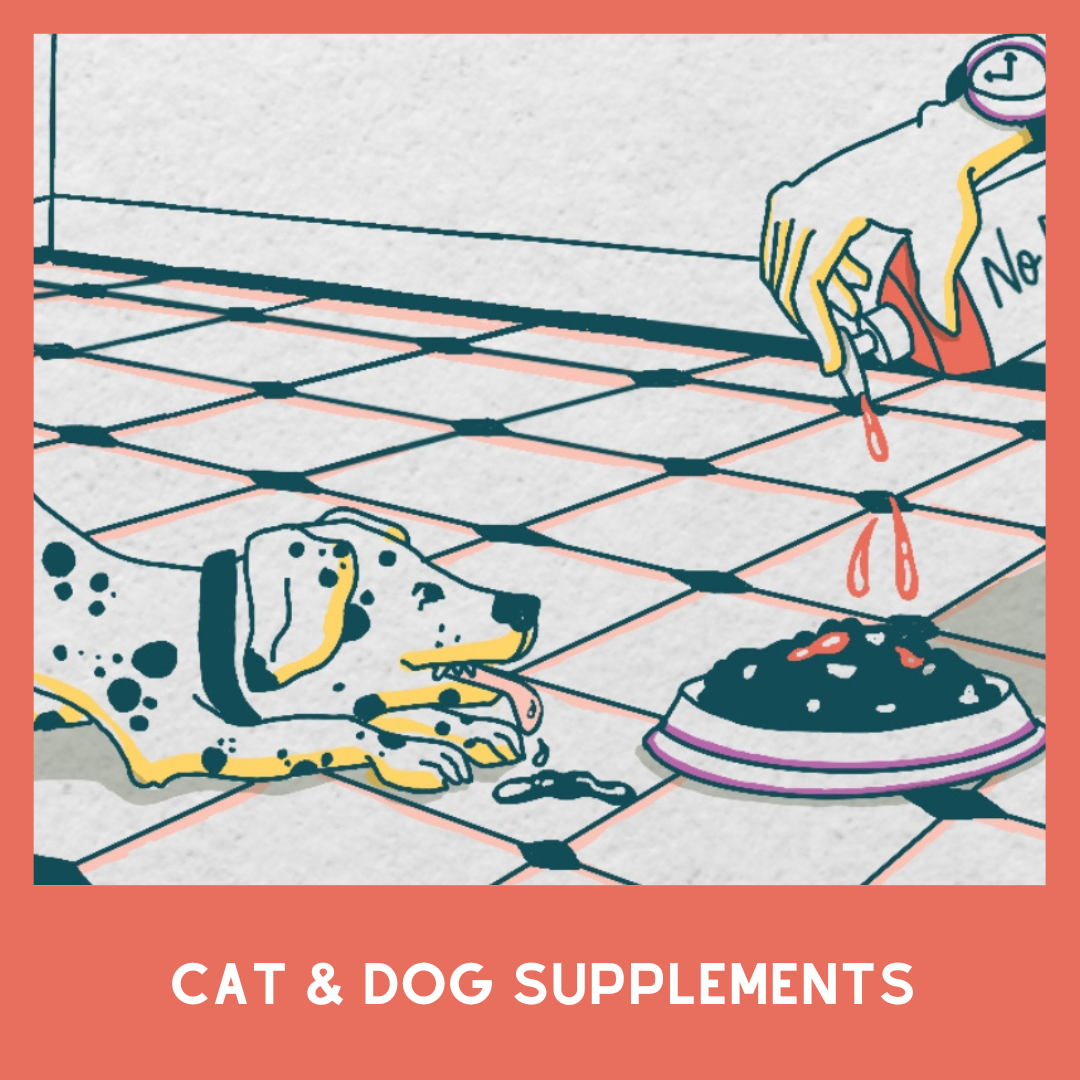 cat and dog supplements