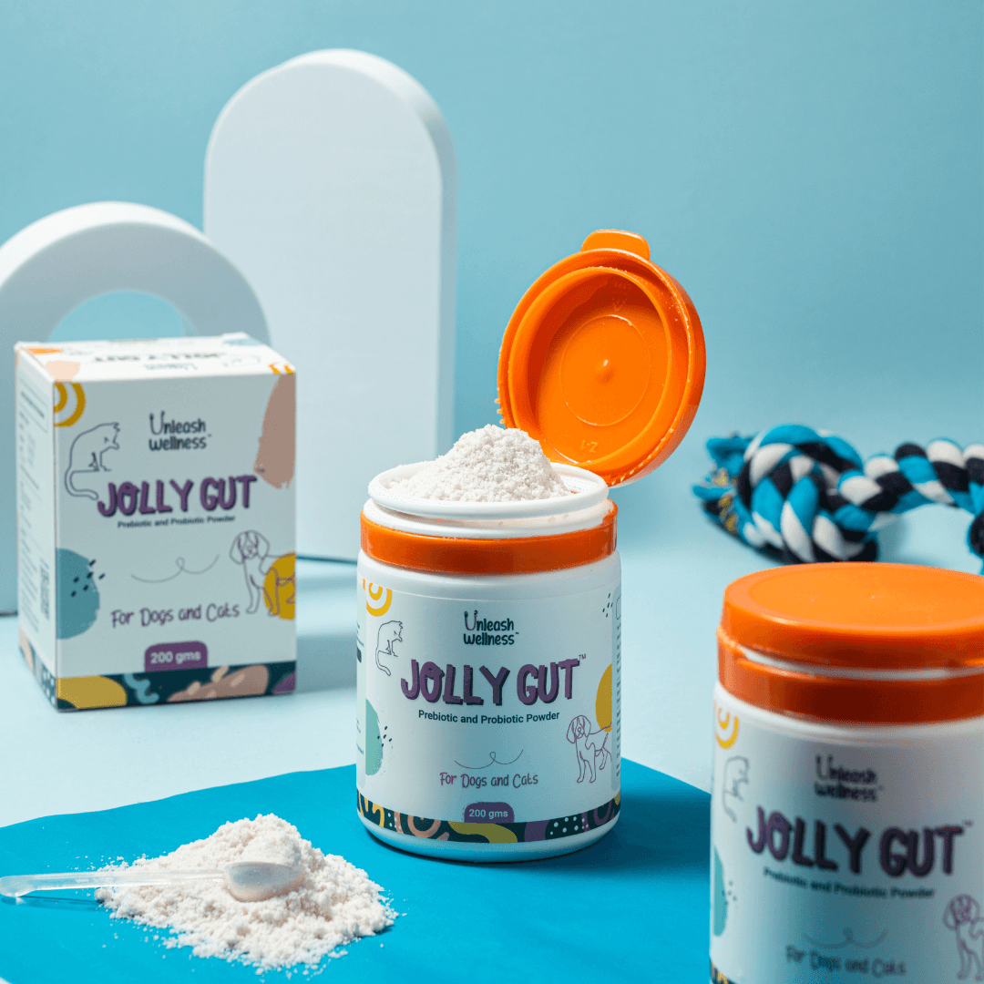 Unleash Wellness Jolly Gut prebiotic powder for dogs and cats, promoting gut health and shiny coat as a premium pet wellness dog supplement.