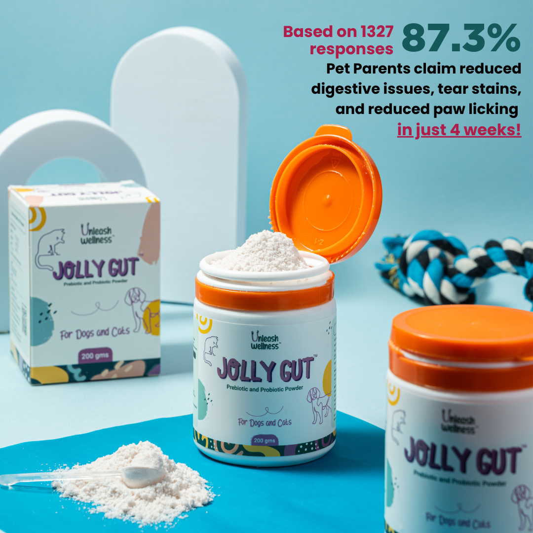 JOLLY GUT® - Pre + Probiotic and Gut Health for Dogs & Cats