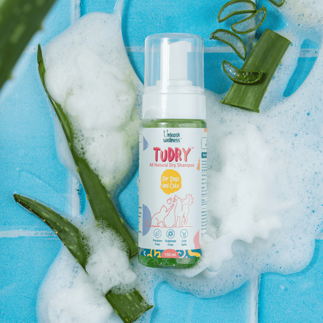 TuDRY® - Natural Dry Shampoo